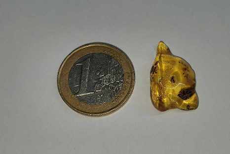 Ambre pierre roulée disponible dans notre boutique Le Monde des Stones à Charroux