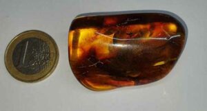 Ambre galet disponible dans notre boutique Le Monde des Stones à Charroux
