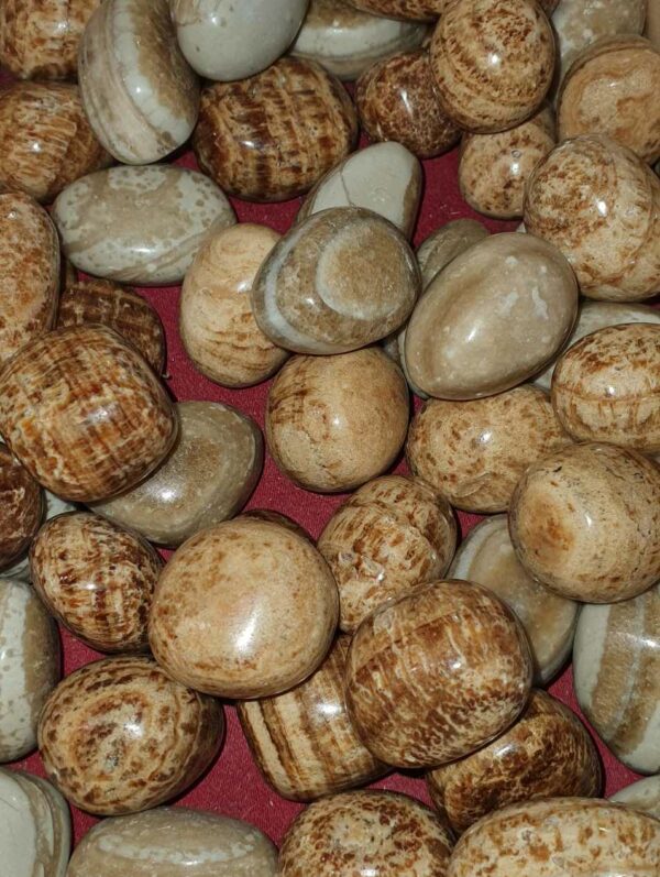 Aragonite pierre rouléedisponible dans notre boutique Le Monde des Stones à Charroux