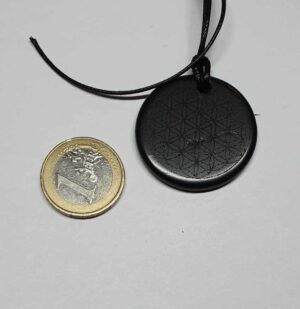 Shungite pendentif fleur de vie disponible dans notre boutique Le Monde des Stones à Charroux