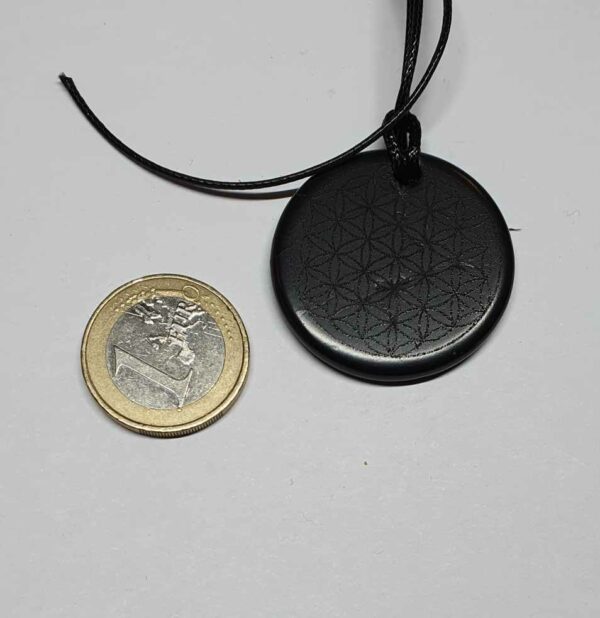 Shungite pendentif fleur de vie disponible dans notre boutique Le Monde des Stones à Charroux