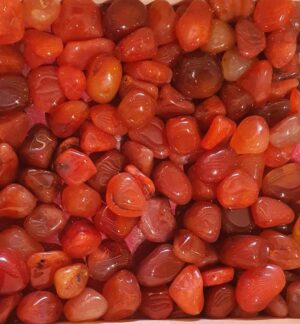 Cornaline disponible dans notre boutique le monde des stones à charroux
