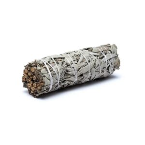 Sauge blanche Smudge