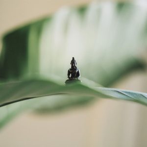 Désodorisant Palo Santo