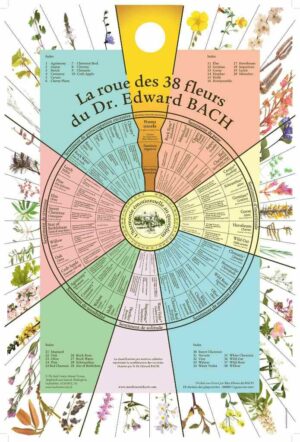 Fleurs de Bach disponible dans notre boutique Le Monde des Stones à Charroux