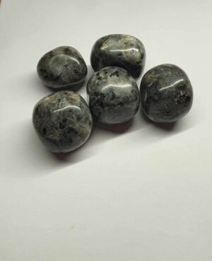 Larvikite disponible dans notre boutique Le Monde des Stones à Charroux